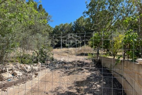 Land plot à vendre Santa Ponsa, Mallorca, EspagneNo. 111130 - photo 7
