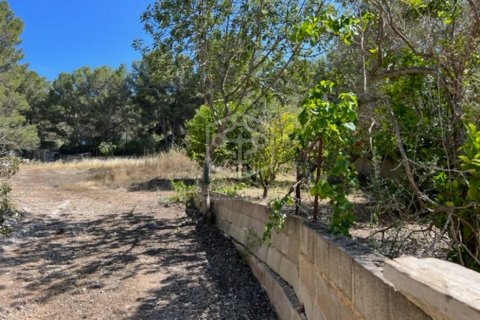 Land plot à vendre Santa Ponsa, Mallorca, EspagneNo. 111130 - photo 1