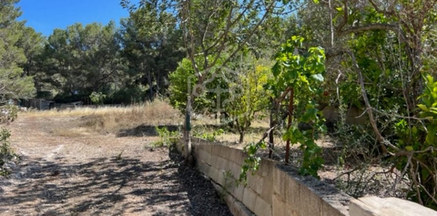 Land plot Santa Ponsa, Mallorca, Espagne No. 111130