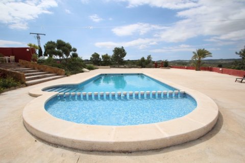 Finca myytävänä Torremendo, Alicante, Espanja, 4 makuuhuonetta, 350 m2 No. 113909 - kuva 22