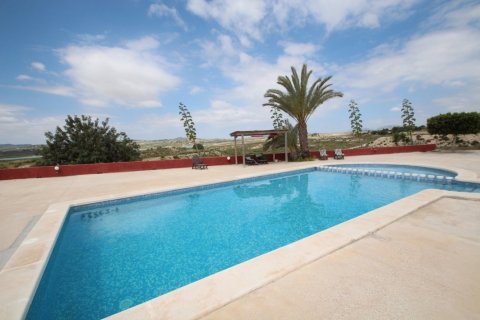 Finca myytävänä Torremendo, Alicante, Espanja, 4 makuuhuonetta, 350 m2 No. 113909 - kuva 13