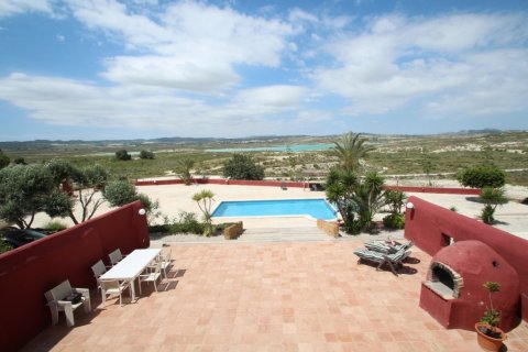 Finca myytävänä Torremendo, Alicante, Espanja, 4 makuuhuonetta, 350 m2 No. 113909 - kuva 12