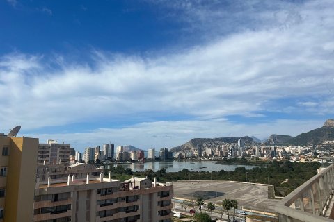 Продажа пентхауса в Кальпе, Аликанте, Испания 3 спальни, 134м2 №95489 - фото 25