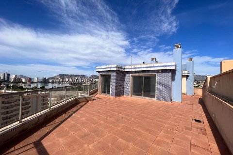 Продажа пентхауса в Кальпе, Аликанте, Испания 3 спальни, 134м2 №95489 - фото 23