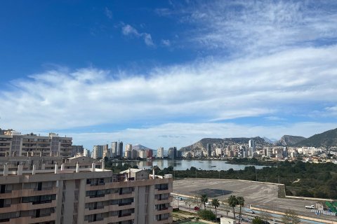 Продажа пентхауса в Кальпе, Аликанте, Испания 3 спальни, 134м2 №95489 - фото 17