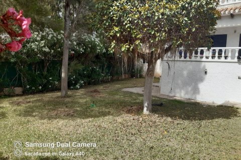 Villa for sale Genoves, Valencia, Spain 3 bedrooms, 170 sq.m. No. 84860 - photo 3