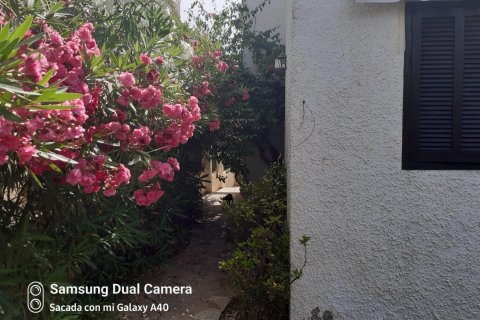 Villa for sale Genoves, Valencia, Spain 3 bedrooms, 170 sq.m. No. 84860 - photo 12