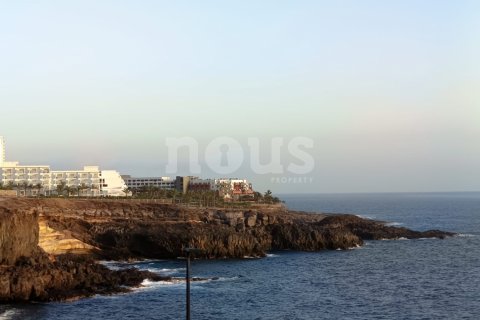 Apartment à vendre Callao Salvaje, Tenerife, Espagne, 1 chambre, 61 m2 No. 109808 - photo 4