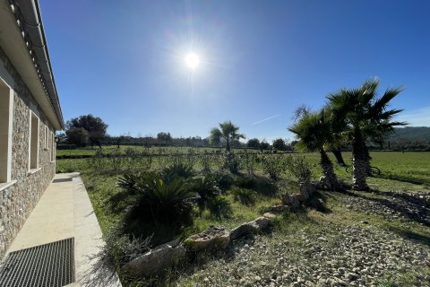 Huvila vuokrattavana Alcudia, Mallorca, Espanja, 2 makuuhuonetta, 150 m2 No. 111983 - kuva 2