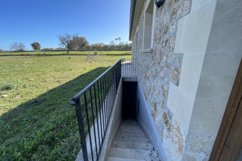 Huvila vuokrattavana Alcudia, Mallorca, Espanja, 2 makuuhuonetta, 150 m2 No. 111983 - kuva 6