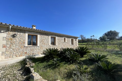 Huvila vuokrattavana Alcudia, Mallorca, Espanja, 2 makuuhuonetta, 150 m2 No. 111983 - kuva 1