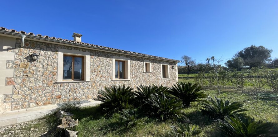 Huvila Alcudia, Mallorca, Espanja 2 makuuhuonetta, 150 m2 No. 111983