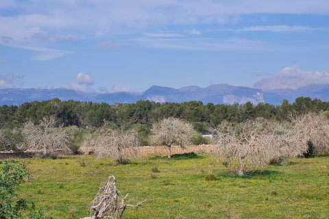 Finca for sale Algaida, Mallorca, Spain 3 bedrooms, 313 sq.m. No. 112000 - photo 4