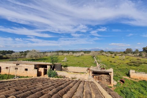 Finca for sale Algaida, Mallorca, Spain 3 bedrooms, 313 sq.m. No. 112000 - photo 3