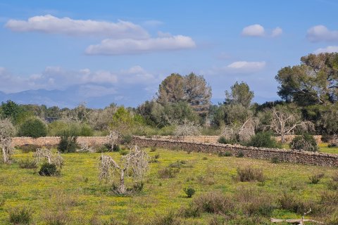 Finca for sale Algaida, Mallorca, Spain 3 bedrooms, 313 sq.m. No. 112000 - photo 7