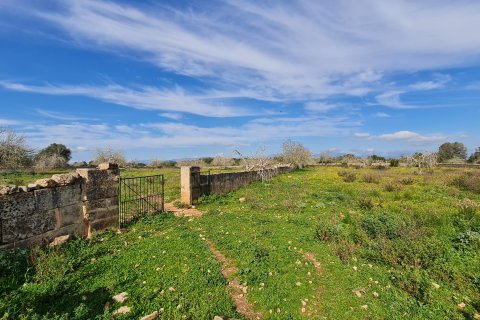 Finca for sale Algaida, Mallorca, Spain 3 bedrooms, 313 sq.m. No. 112000 - photo 5