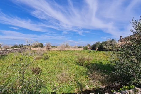 Finca for sale Algaida, Mallorca, Spain 3 bedrooms, 313 sq.m. No. 112000 - photo 6