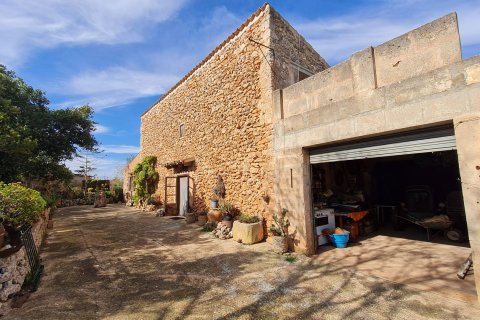 Finca for sale Algaida, Mallorca, Spain 3 bedrooms, 313 sq.m. No. 112000 - photo 11