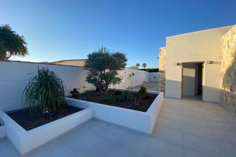 Villa for sale Torrevieja, Alicante, Spain 4 bedrooms, 190 sq.m. No. 115382 - photo 5