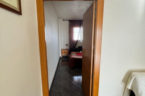 Wohnung zum Verkauf Torrevieja, Alicante, Spanien 3 Schlafzimmer, 101 m2 Nr. 115386 - Foto 23
