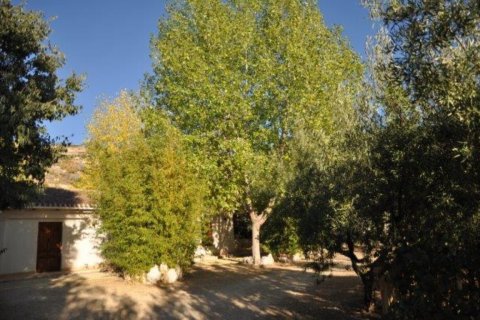 Finca for sale Jijona, Alicante, Spain 5 bedrooms,  No. 115611 - photo 8