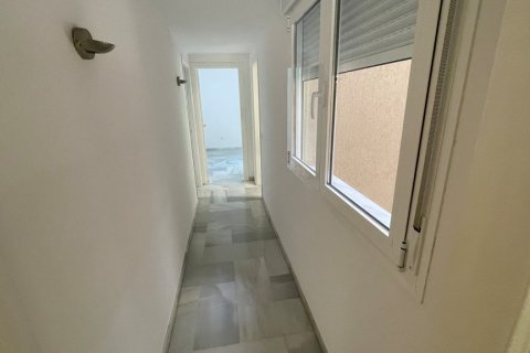 Apartment for rent Malaga, Spain 4 bedrooms, 200 sq.m. No. 107461 - photo 12