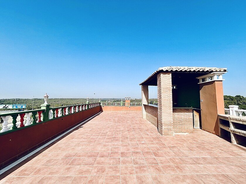 Commercial property à Orihuela, Alicante, Espagne 242 m2 No. 111285