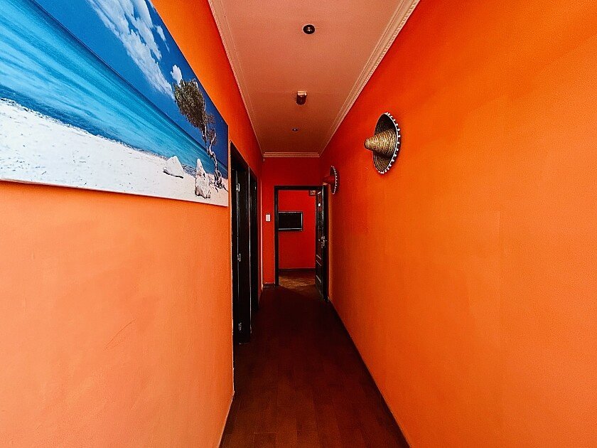 Commercial property à Orihuela, Alicante, Espagne 242 m2 No. 111285