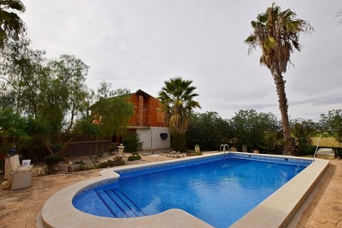 Māja pārdošanā Dolores, Alicante, Spānijā 3 istabas, 200 m2 Nr. 111280 - attēls 1
