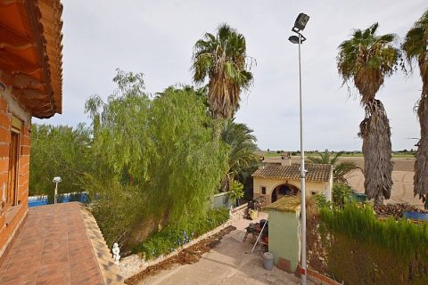 Māja pārdošanā Dolores, Alicante, Spānijā 3 istabas, 200 m2 Nr. 111280 - attēls 16