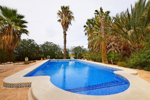 Māja pārdošanā Dolores, Alicante, Spānijā 3 istabas, 200 m2 Nr. 111280 - attēls 7
