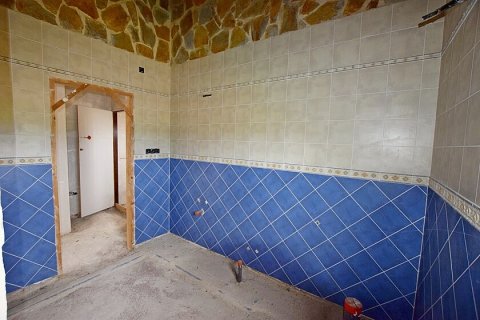 Māja pārdošanā Dolores, Alicante, Spānijā 3 istabas, 200 m2 Nr. 111280 - attēls 29