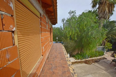 Māja pārdošanā Dolores, Alicante, Spānijā 3 istabas, 200 m2 Nr. 111280 - attēls 14