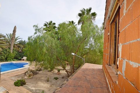 Māja pārdošanā Dolores, Alicante, Spānijā 3 istabas, 200 m2 Nr. 111280 - attēls 13