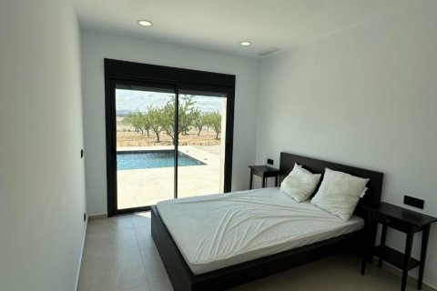 Villa in vendita Pinoso, Alicante, Spagna 3 camere da letto, 199 mq. N° 111304 - foto 9