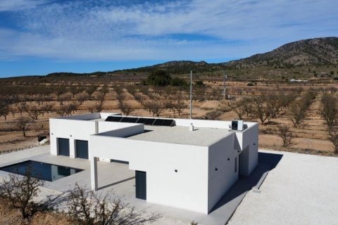 Villa in vendita Pinoso, Alicante, Spagna 3 camere da letto, 199 mq. N° 111304 - foto 3