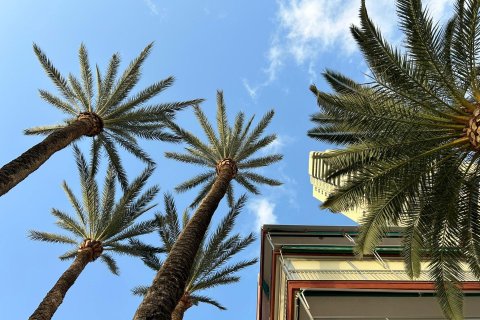 Appartamento in vendita a Benidorm, Alicante, Spagna 3 camere da letto, 90 mq. N° 109230 - foto 5