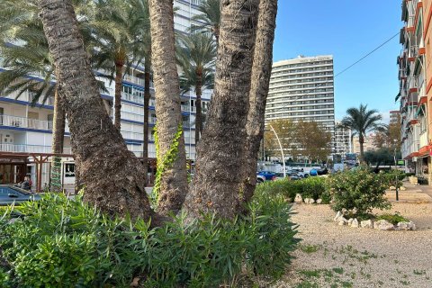 Appartamento in vendita Benidorm, Alicante, Spagna 3 camere da letto, 90 mq. N° 109230 - foto 22