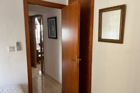 Appartamento in vendita a Benidorm, Alicante, Spagna 3 camere da letto, 90 mq. N° 109230 - foto 23