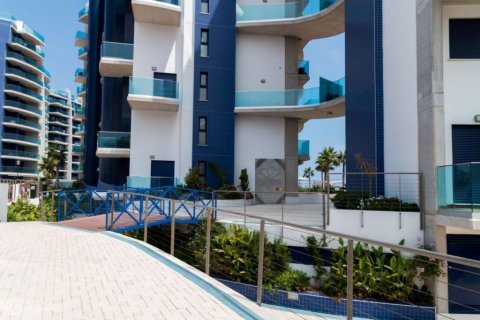 Apartment for sale Punta Prima, Alicante, Spain 3 bedrooms, 110 sq.m. No. 113133 - photo 25