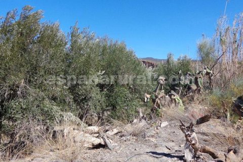 Villa till salu Purchena, Almeria, Spanien 5 sovrum, 200 kvm. Nr. 113125 - foto 23