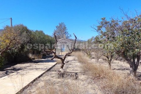 Villa till salu Purchena, Almeria, Spanien 5 sovrum, 200 kvm. Nr. 113125 - foto 24