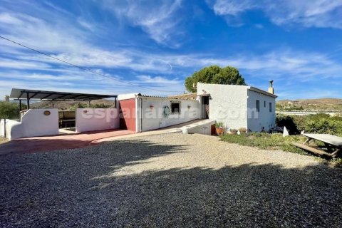 House à vendre Cantoria, Almeria, Espagne, 4 chambres, 282 m2 No. 113126 - photo 29