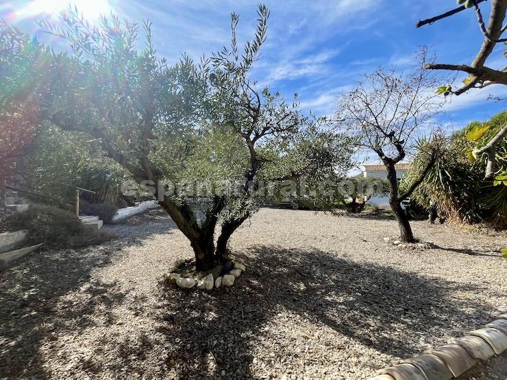 House in Cantoria, Almeria, Spanien 4 Schlafzimmer, 282 m2 Nr. 113126