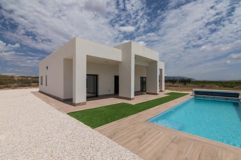 Villa in vendita Pinoso, Alicante, Spagna 3 camere da letto, 152 mq. N° 111309 - foto 3