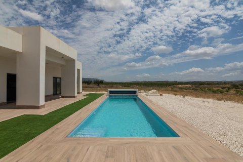 Villa in vendita Pinoso, Alicante, Spagna 3 camere da letto, 152 mq. N° 111309 - foto 4