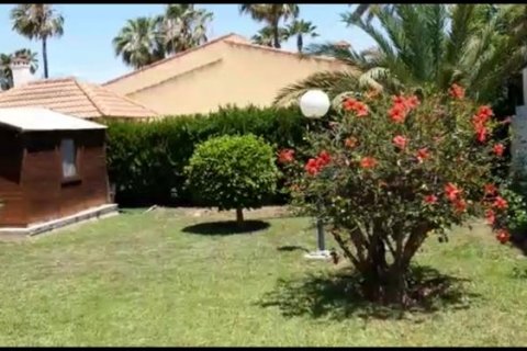 Villa zum Verkauf Torrevieja, Alicante, Spanien 4 Schlafzimmer, 130 m2 Nr. 115054 - Foto 20