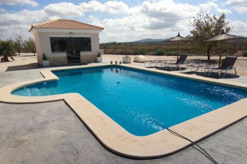 Villa à vendre Pinoso, Alicante, Espagne, 5 chambres, 325 m2 No. 116313 - photo 3