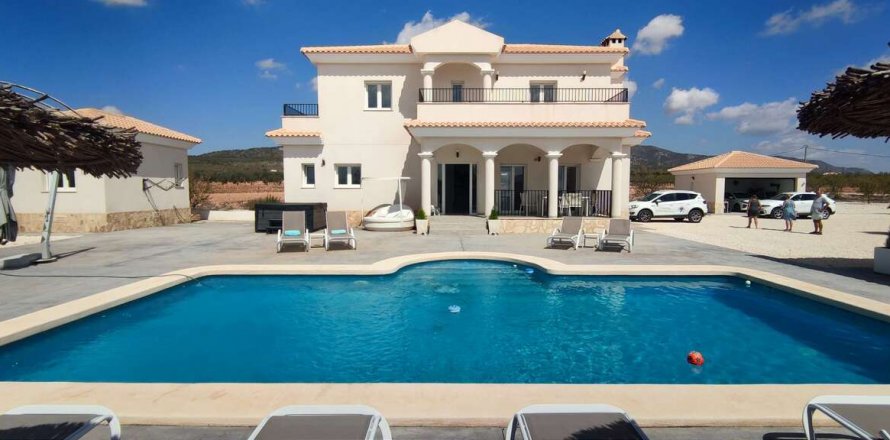 Villa Pinoso, Alicante, Espagne 5 chambres, 325 m2 No. 116313