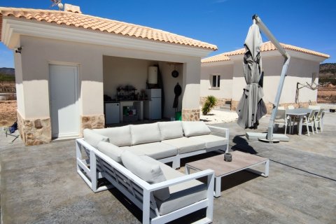 Villa à vendre Pinoso, Alicante, Espagne, 5 chambres, 325 m2 No. 116313 - photo 24